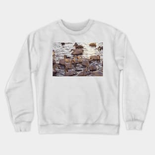 Swan Love Crewneck Sweatshirt